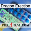 Dragon Erection new02